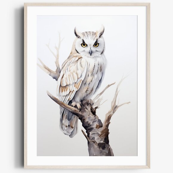 Creative Path Studios Other - Watercolor White Owl Portrait Wall Art Illustration Print Poster Unframed